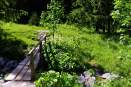 Dolina Strążyska 