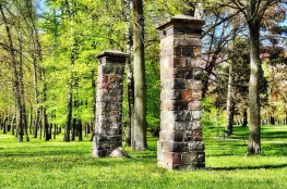 Elbląg Atrakcja Warto zobaczyć Park Modrzewie